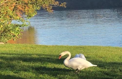 Dreiland Fewo mit großem Freisitz - Foto 15
