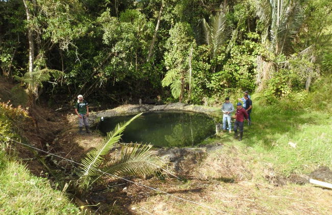 Itinerario privato di trekking a El Bosque + Terme di Canaán - Foto 2