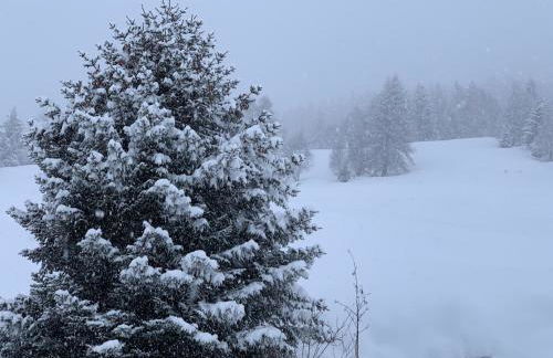 la Stua di Anna, vista olimpionica a 5 minuti da Terme e piste di sci - Photo 16