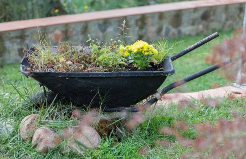 MASIA CAN SUNYER AGROTURISMO - Foto 29