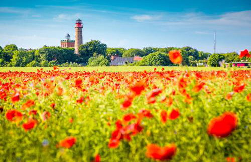 Ferienhaus Svantovit - exklusives Ferienhaus mit Sauna, Whirlpool-Wanne und Kamin - Foto 34