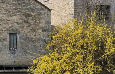 Au Bord de la Lauve - Foto 14