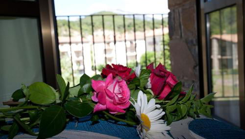 Casa Rural Sofia Ordesa - Foto 3