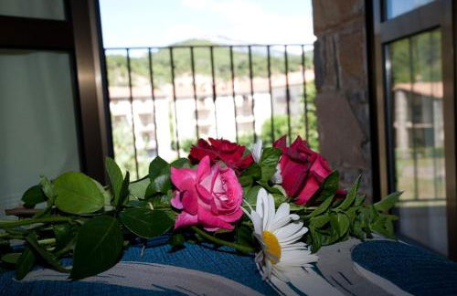 Casa Rural Sofia Ordesa - Foto 3