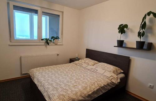 Apartman Mima - Photo 7