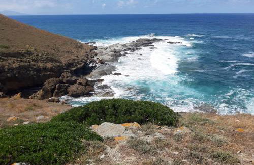 Domo Allegru - Foto 8