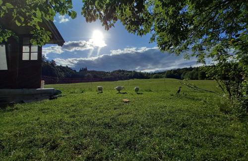 Ferienwohnung Andre - Foto 13