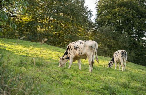 The Stone House naturaleza y confort - Foto 29