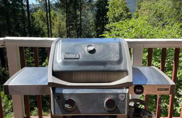 Glass Cabin Under the Pines | Hot Tub • Seclusion - Foto 11