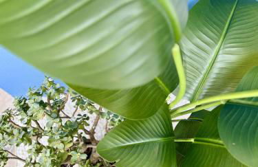 Oasis De Confort Urbano Vigo - Foto 28