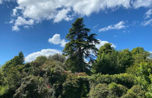 Woodland Cottage Charleton Estate - Foto 20