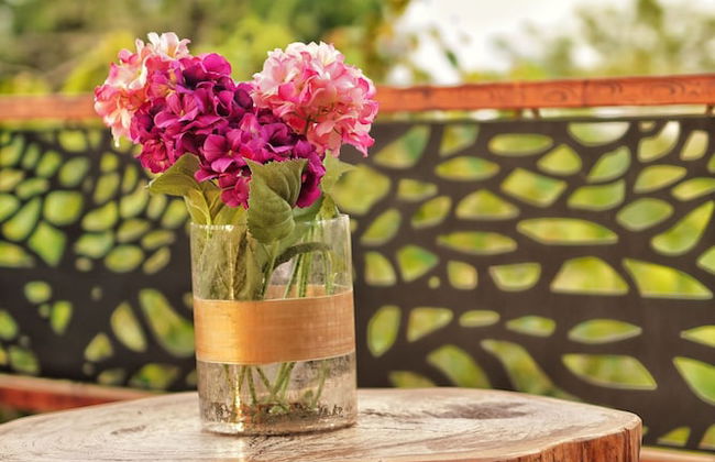 Corcovado Private Villas - Foto 33