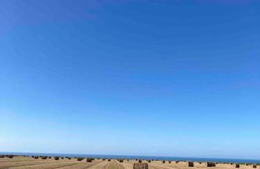 les Albatros - Foto 16