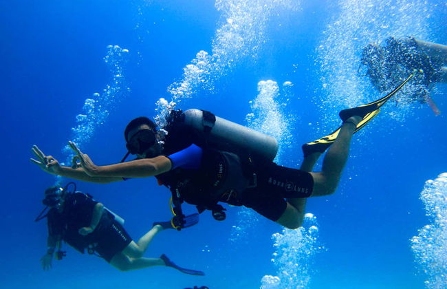 Buceo en Punta Maroma - Foto 6