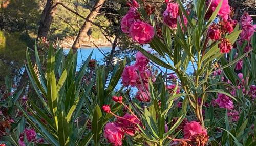 Artatore24 - Modern and stylish Apartments - Foto 4