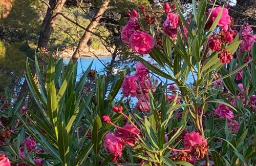 Artatore24 - Modern and stylish Apartments - Foto 4