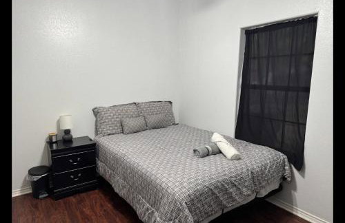 Backyard Oasis in Brownsville! - Photo 12