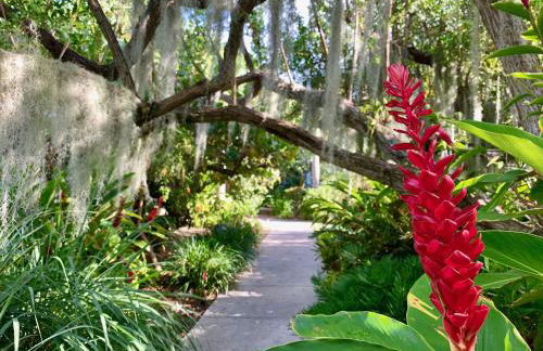 Key West's Best - Photo 52