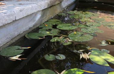 Villa Castillon - Foto 11