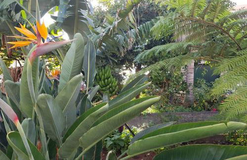 City View Gardens - Foto 13