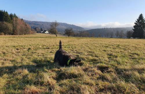 Nationalpark Ferienhaus SOPHIA-LUISA - Foto 20