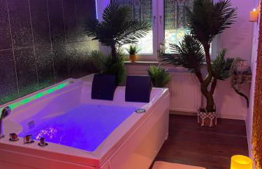 Historic vintage Suite with Jacuzzi & Sauna - Foto 28