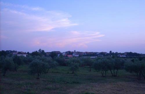 Apartments Ždravac - Photo 14