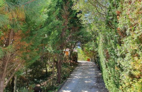 Villa "Le Mirage" - Foto 3
