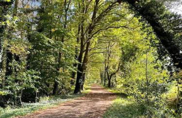 Apartment in upper floor in nature reserve. - Foto 4