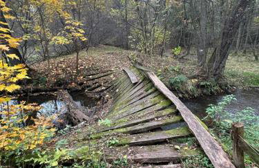 Leśniczówka Myśliwska - Foto 14