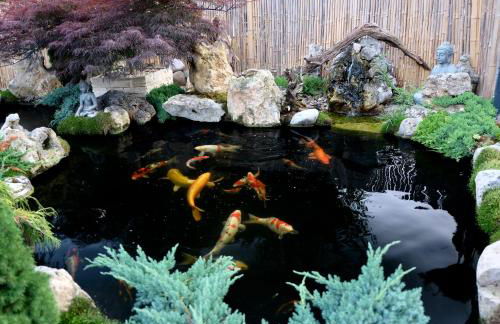 Gästehaus Biedermann - Photo 25