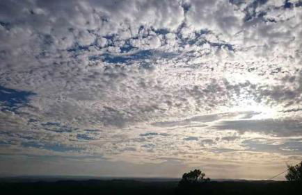 Quinta da Idalina - Foto 4