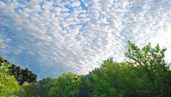 Villa Maud - Photo 5