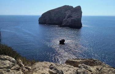 Giulio's House - Foto 18