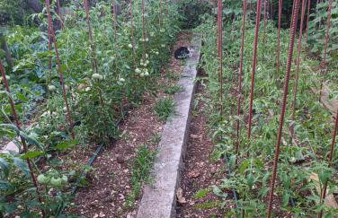 Apartment Marta - free parking! - Photo 45