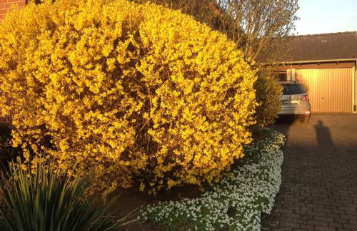 4 Zimmerwohnung zentrale Lage - Foto 31