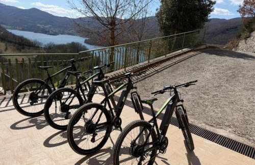 Paradiso sul lago - Photo 5