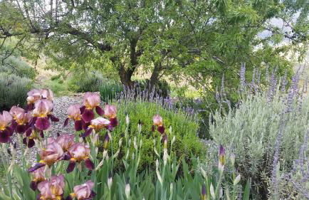 Finca Las Morenas - Foto 22