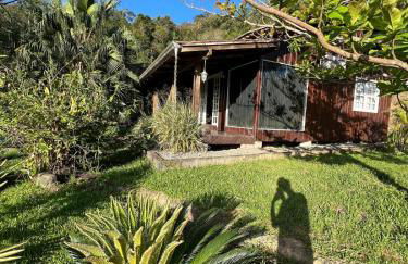 Pool amid the green - Foto 10