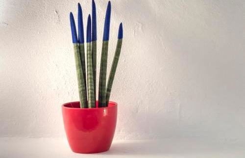 Traditional Farmers Caves - Foto 31