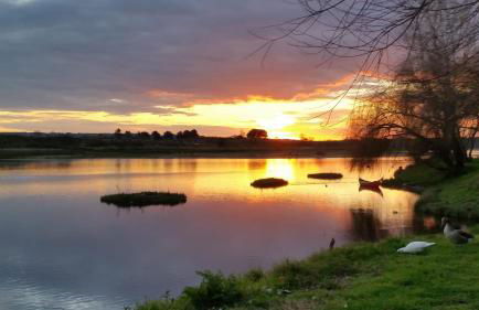 Casa do Frade - Foto 29