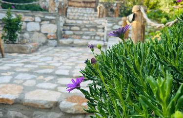 Balis House - Foto 24