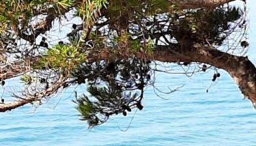 EL balcó del Roc - Foto 5