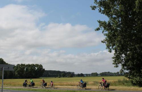 A12 Das rote Haus am Haff Roggow Ostseebad Rerik - Foto 24