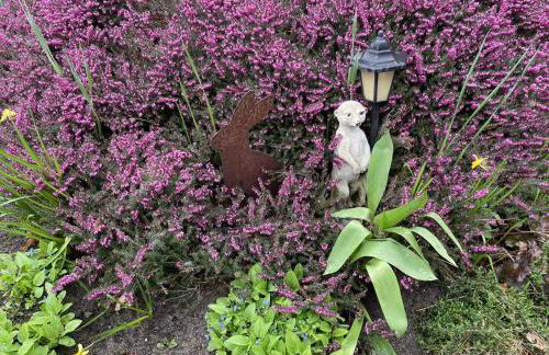 Ferienwohnung Harms - Foto 14