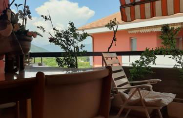 GUFO VERDE - Photo 27