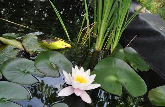 Maison Eureka Chantilly Gouvieux - Foto 23