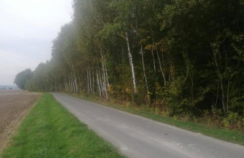 Domki całoroczne DŁUGOSZÓWKA pod Rzeszowem, Jacuzzi-Sauna-Basen-Alpaki - Foto 36