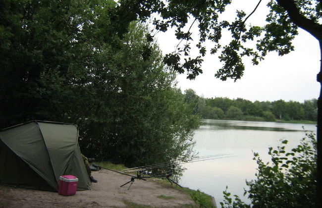 Holiday Home in Soerendonk With Garden - Foto 38