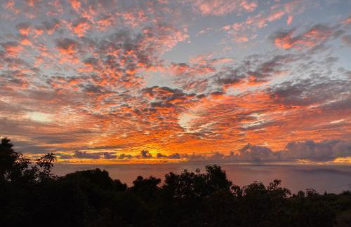 Taburiente - Foto 36